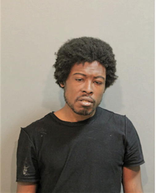 TROY J CAMERON, Cook County, Illinois