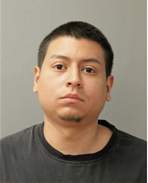 DIEGO F ECHEVERRI, Cook County, Illinois
