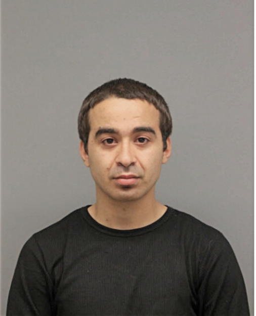 FERAS S EL GHOUL, Cook County, Illinois