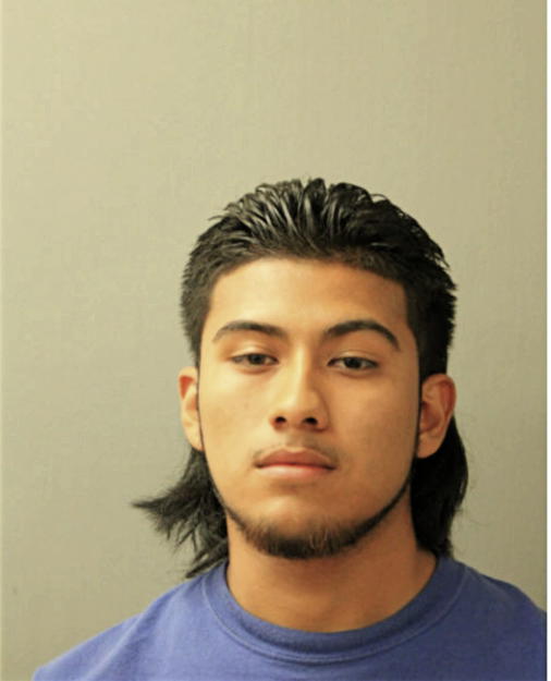 EMANUEL FLORES, Cook County, Illinois