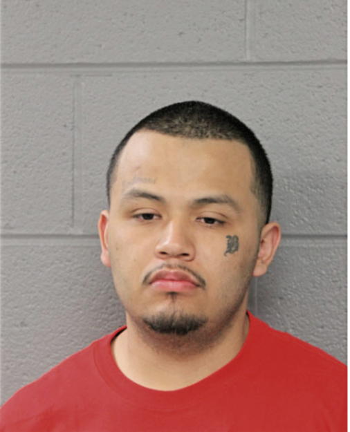 OMAR D FLORES, Cook County, Illinois