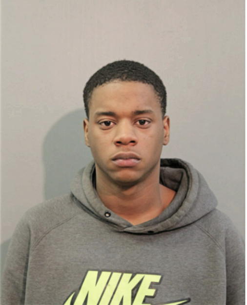 CHRISTOPHER H FORD, Cook County, Illinois