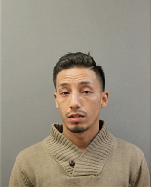ENRIQUE SANCHEZ GARCIA, Cook County, Illinois