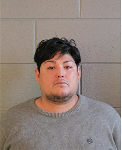 MICHAEL E GARCIA, Cook County, Illinois