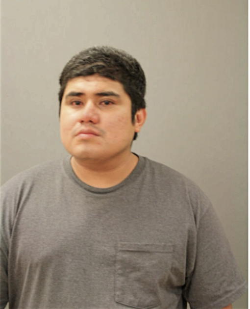 SANTIAGO GONZALEZ, Cook County, Illinois