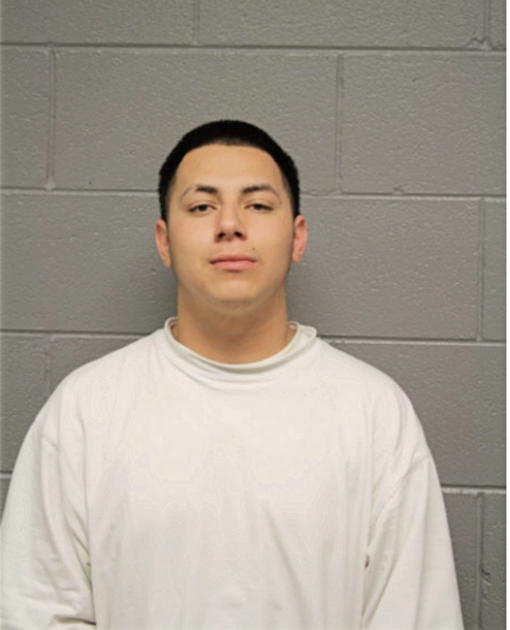 ALFONSO HERNANDEZ, Cook County, Illinois