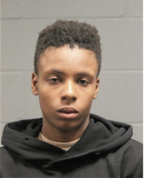 DOMINIQUE L LEE, Cook County, Illinois