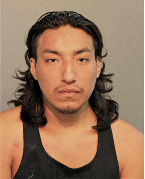 DANIEL D LOPEZ, Cook County, Illinois