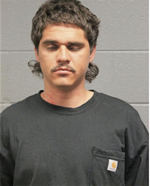 JUAN G MAGDALENO, Cook County, Illinois