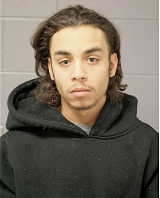 DAVID REYES, Cook County, Illinois