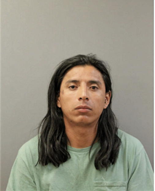 FERNANDO REYES, Cook County, Illinois