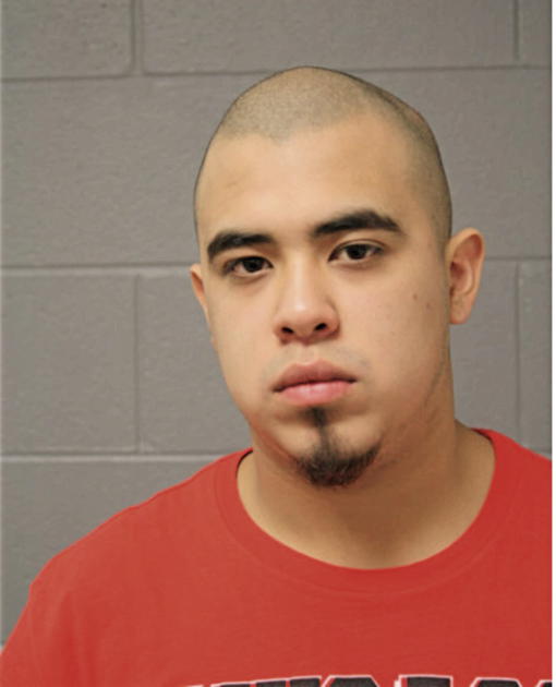 JUAN J ROMO, Cook County, Illinois
