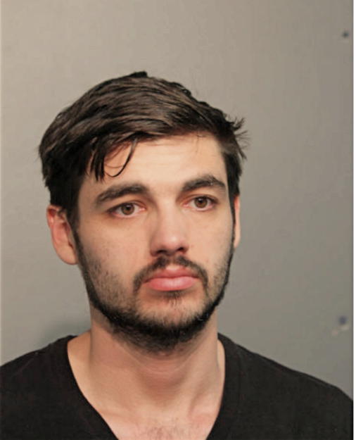 THOMAS W ROTELLA, Cook County, Illinois