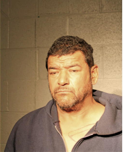 NICHOLAS SALAS-ORTIZ, Cook County, Illinois