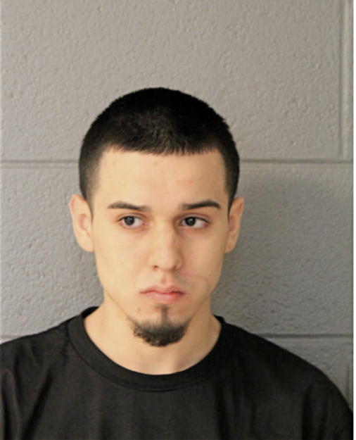 CHRISTIAN TORRES, Cook County, Illinois