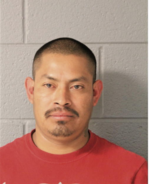 MARCELINO TZOY, Cook County, Illinois