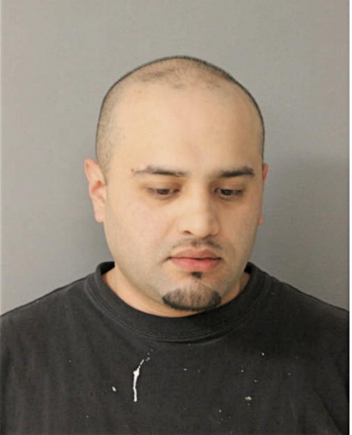 LUIS J VEGA, Cook County, Illinois
