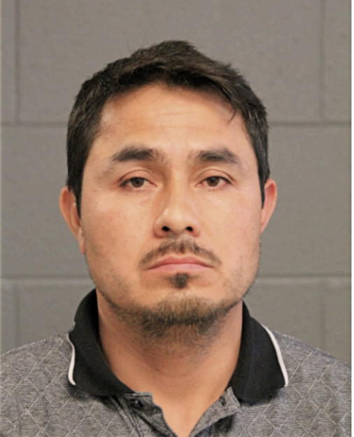 FERMIN MATIAS VILLEGAS, Cook County, Illinois