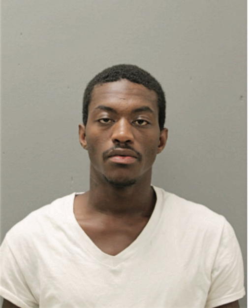 CHARLES E WALLACE, Cook County, Illinois