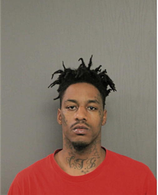 CHARLES M WILLIAMS, Cook County, Illinois