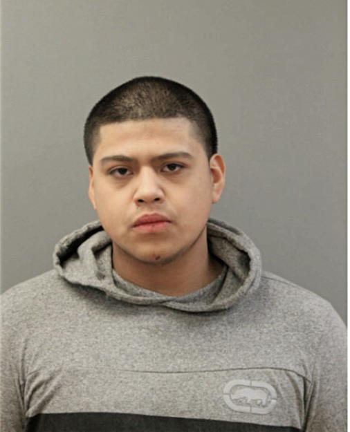 JOEL DOMINGUEZ, Cook County, Illinois