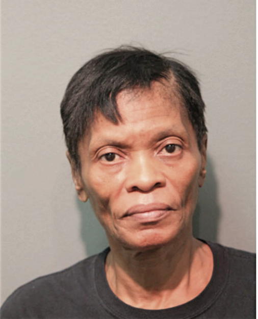 PATRICIA A ELKINS, Cook County, Illinois