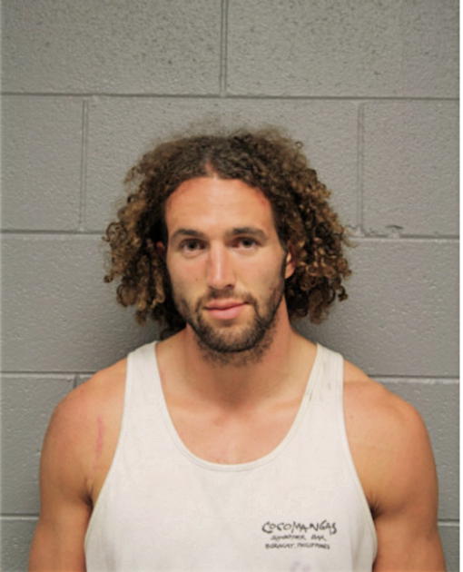 MICHAEL JOHN ELLERY, Cook County, Illinois