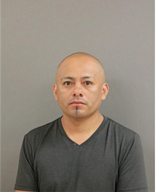 ALFREDO FLORES, Cook County, Illinois