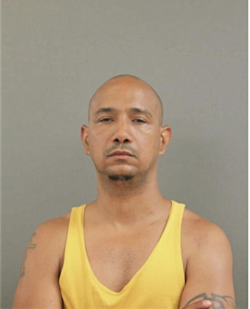 RAMON L GONZALEZ, Cook County, Illinois