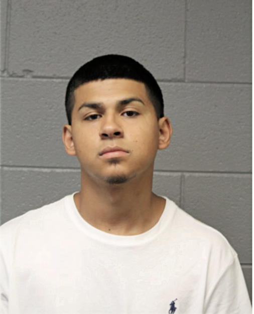 JOEL GUZMAN, Cook County, Illinois