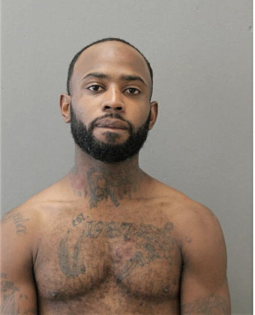 SHELBY E HOLLOMON, Cook County, Illinois