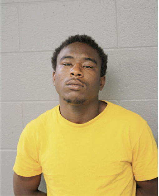 BRANDON D HOLT, Cook County, Illinois