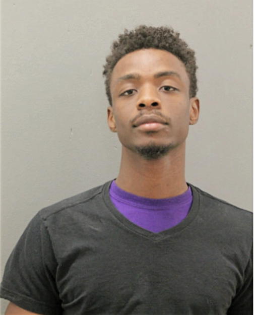 ANTHONY K JOHNSON, Cook County, Illinois