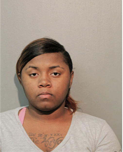 CLARISSA T LANDON, Cook County, Illinois