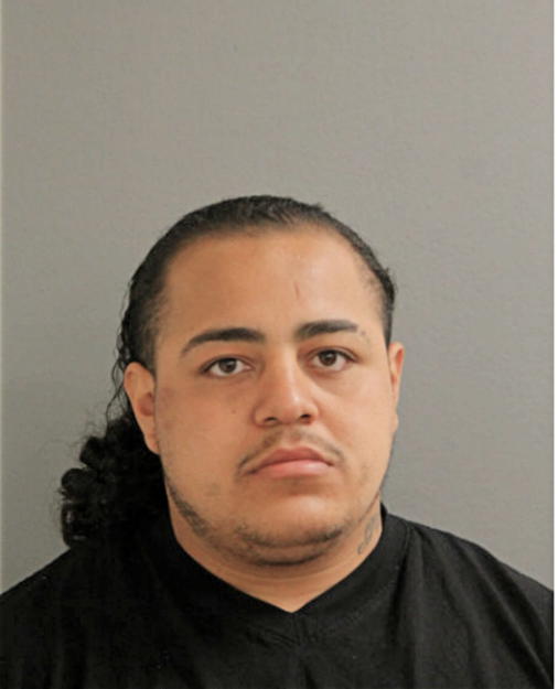 DILLENGER MARTINEZ, Cook County, Illinois
