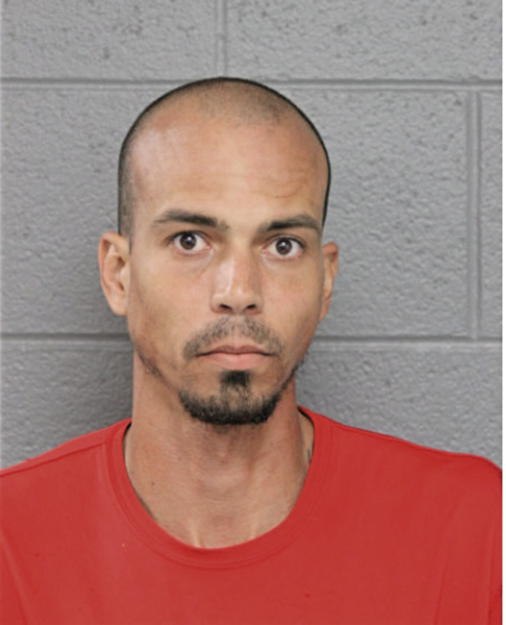 JOELVY MENDOZA, Cook County, Illinois