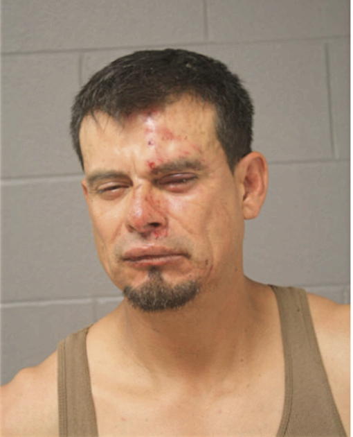 PEDRO O ORTEGA, Cook County, Illinois