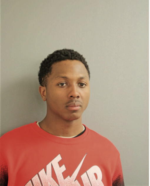 DAVID M THOMPSON, Cook County, Illinois