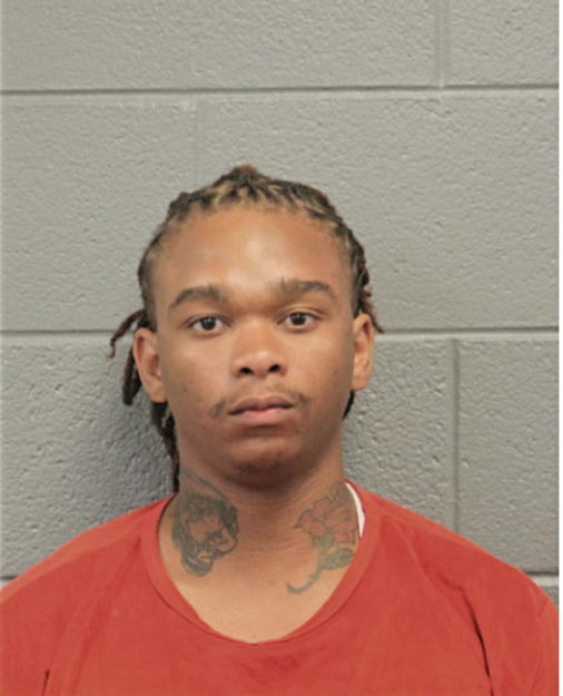 MICHAEL L WILLIAMS, Cook County, Illinois