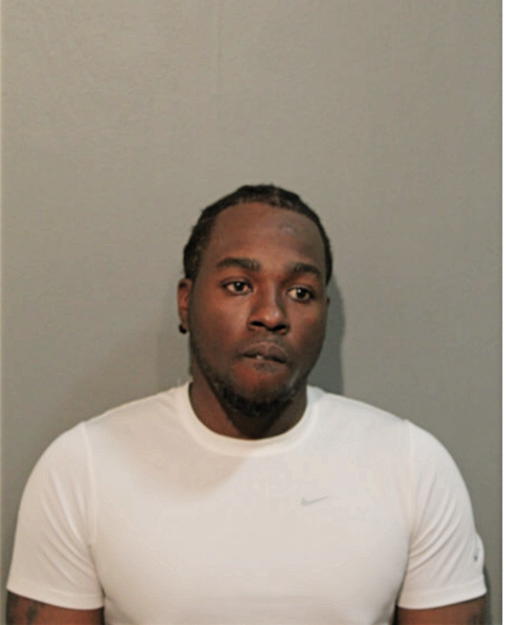 ERRIC J ALSTON, Cook County, Illinois