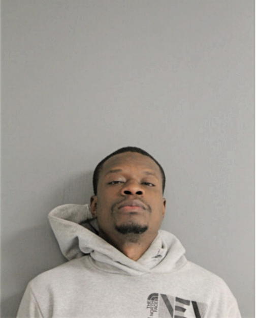 MICHAEL L AMISON, Cook County, Illinois