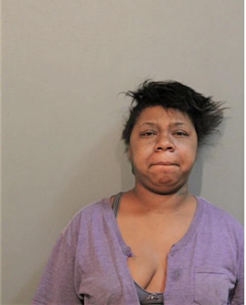 DANYEL G ANDERSON, Cook County, Illinois