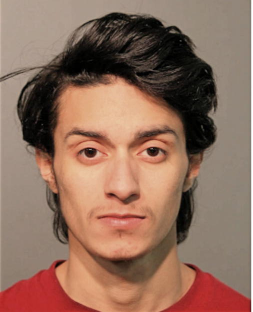 LUIS G CESAR, Cook County, Illinois