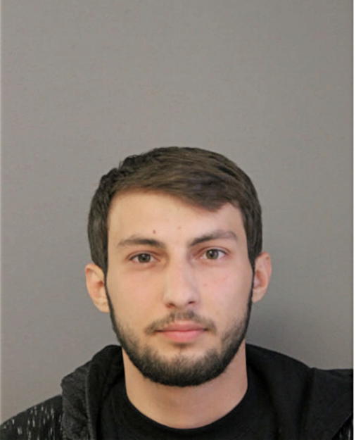 COPIL CORNELIU, Cook County, Illinois