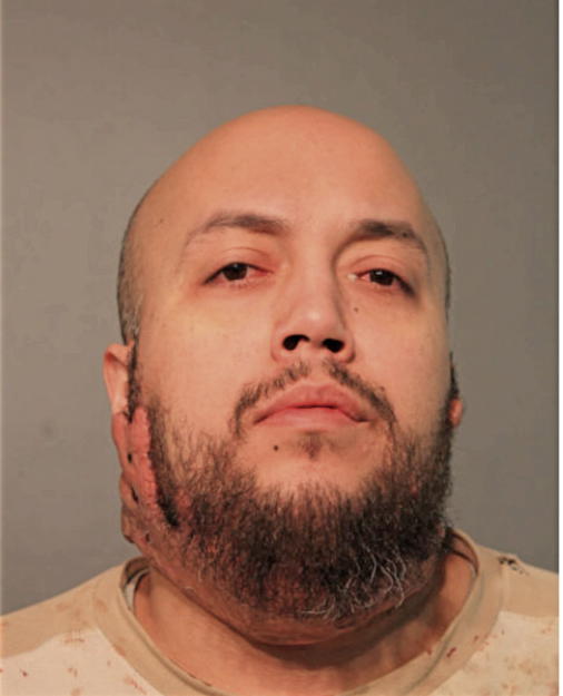 DAVID A ECHEVARRIA, Cook County, Illinois