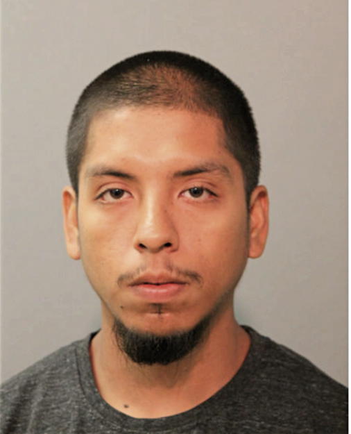 ISRAEL FLORES, Cook County, Illinois
