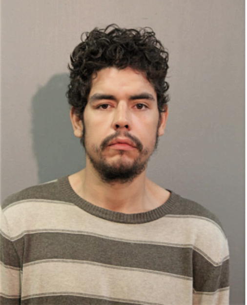 DAVID GONZALES, Cook County, Illinois