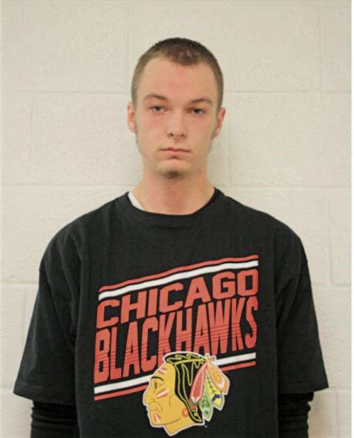 BRANDON J HAMILTON, Cook County, Illinois