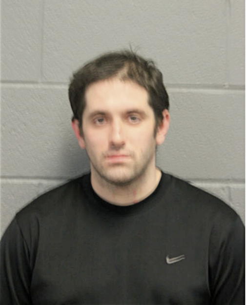 MICHAEL E HERMANOWKI, Cook County, Illinois