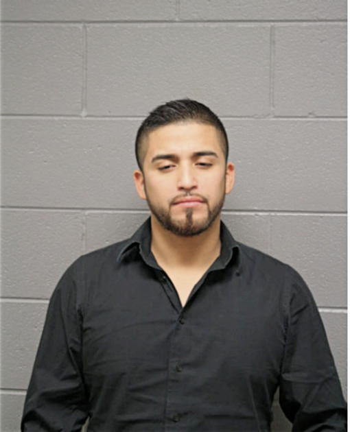 HECTOR L HERNANDEZ, Cook County, Illinois